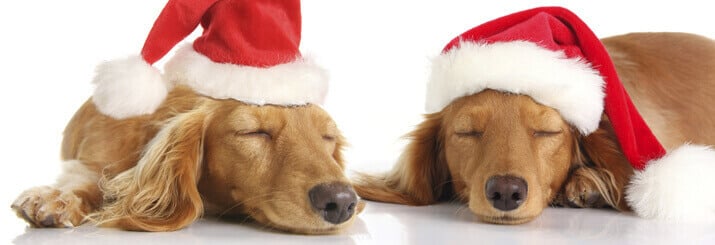 Holiday-Marketing