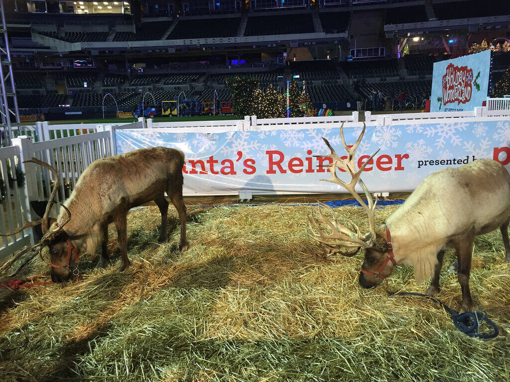 Holiday Wonderland at Petco Park. Image credit: Flickr