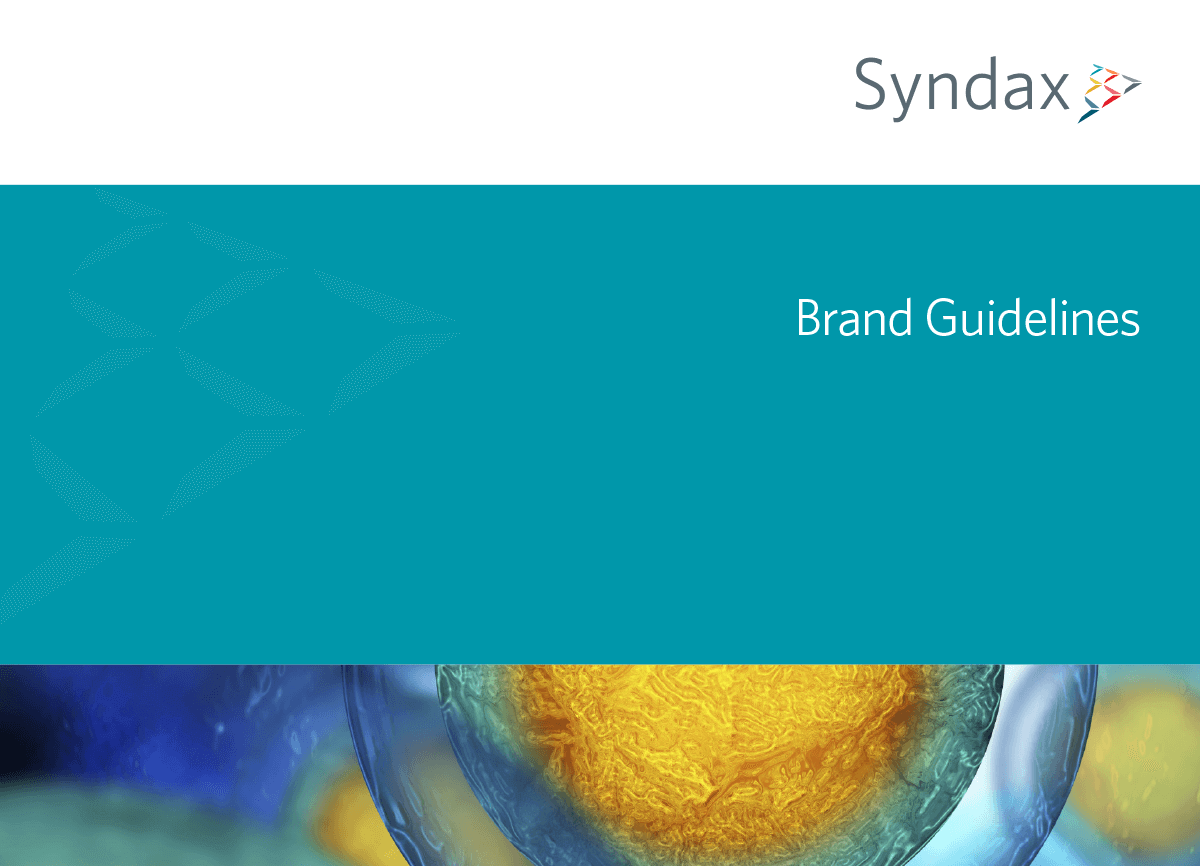 Syndax brand style guide cover