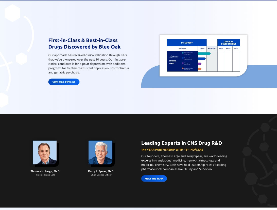 Homepage screenshot of Blue Oak Pharma