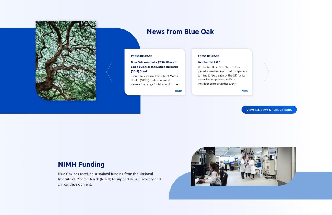 Homepage screenshot of Blue Oak Pharma