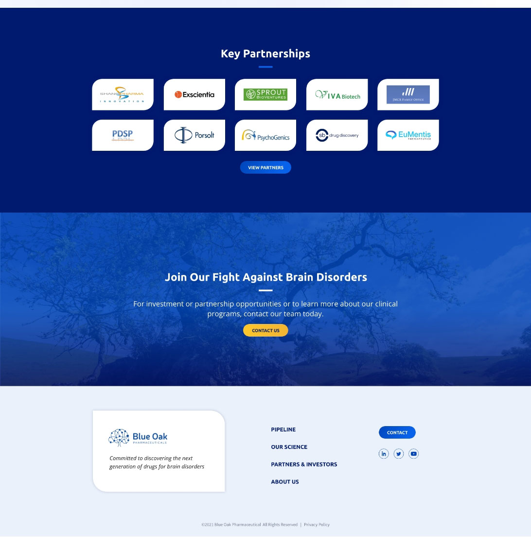 Homepage screenshot of Blue Oak Pharma