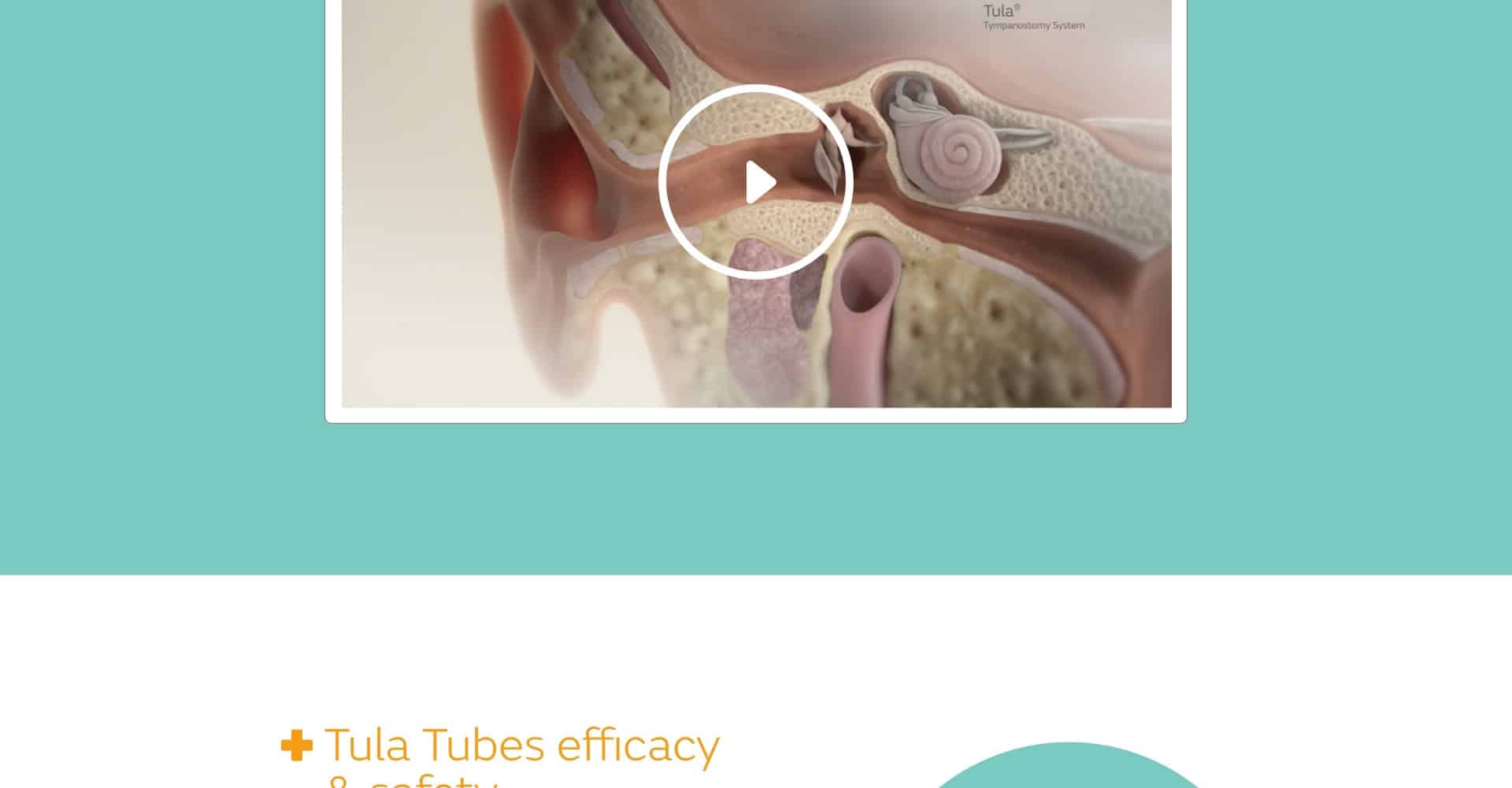 Homepage screenshot of Tula Tubes