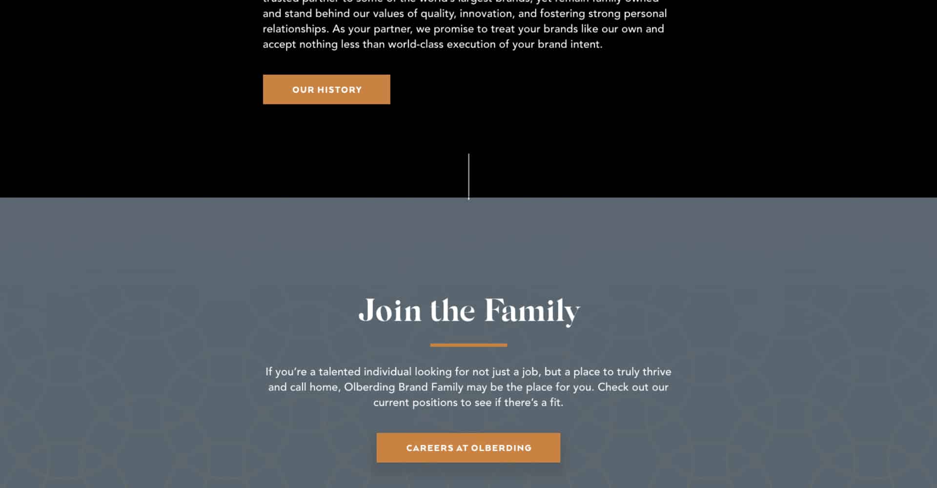 Homepage screenshot of Olberding
