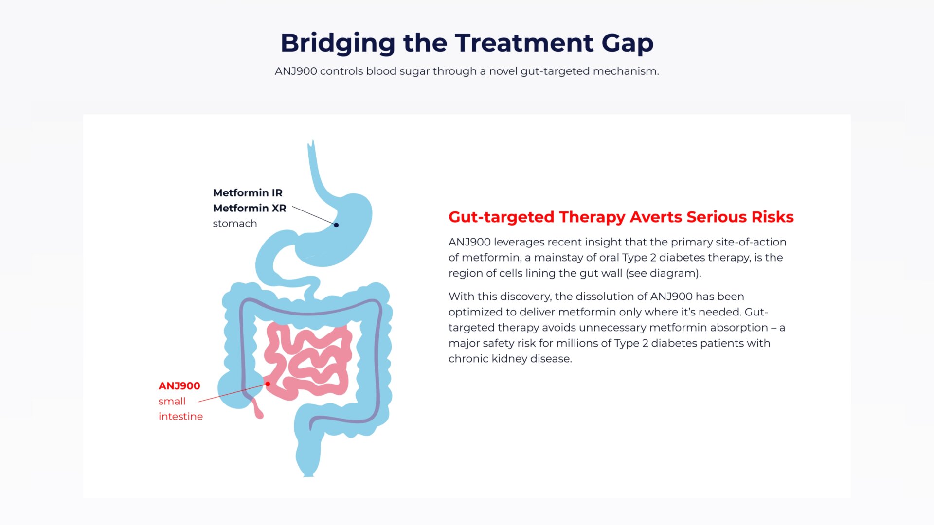 Anji Pharma B2B Case Study - Pharmaceutical Marketing