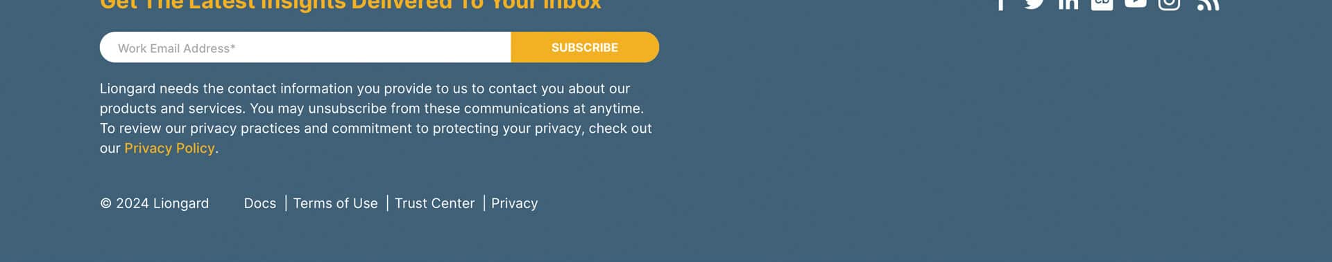 Homepage screenshot of Liongard